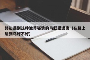 路边遇到这种诡异姿势的鸟赶紧远离（在路上碰到鸟好不好）