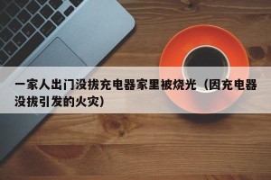一家人出门没拔充电器家里被烧光（因充电器没拔引发的火灾）