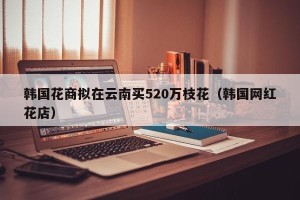 韩国花商拟在云南买520万枝花（韩国网红花店）